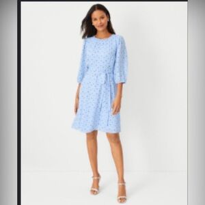 Ann Taylor Clover Tie Waist Flare Dress Ojai Sky. Sz 2. Excellent used condition